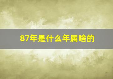 87年是什么年属啥的