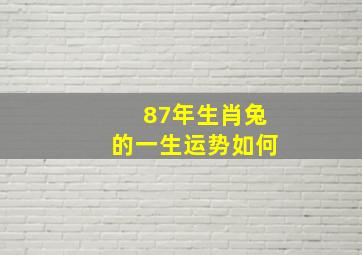 87年生肖兔的一生运势如何