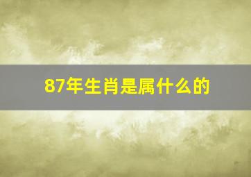 87年生肖是属什么的