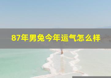 87年男兔今年运气怎么样