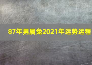 87年男属兔2021年运势运程