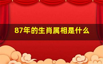 87年的生肖属相是什么