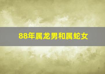 88年属龙男和属蛇女