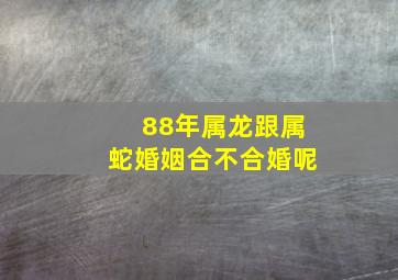 88年属龙跟属蛇婚姻合不合婚呢