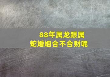 88年属龙跟属蛇婚姻合不合财呢