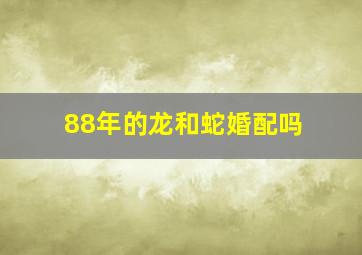 88年的龙和蛇婚配吗