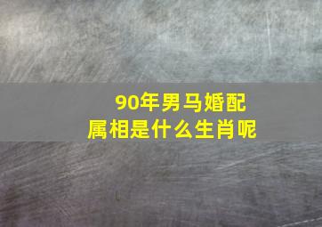 90年男马婚配属相是什么生肖呢