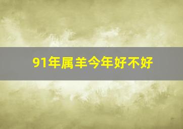 91年属羊今年好不好