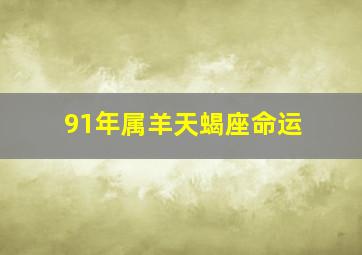 91年属羊天蝎座命运