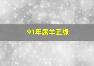 91年属羊正缘