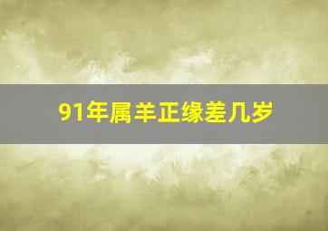 91年属羊正缘差几岁