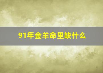 91年金羊命里缺什么