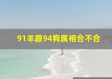 91羊跟94狗属相合不合