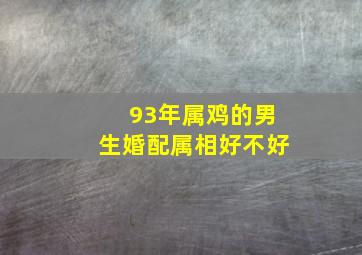 93年属鸡的男生婚配属相好不好