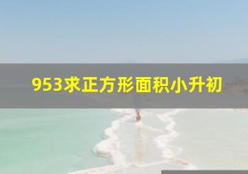 953求正方形面积小升初