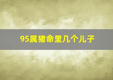 95属猪命里几个儿子