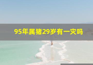 95年属猪29岁有一灾吗