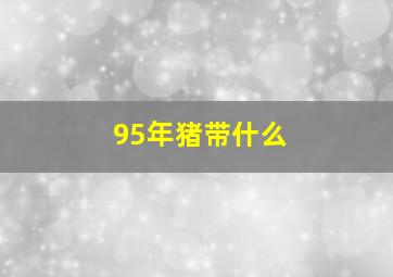 95年猪带什么