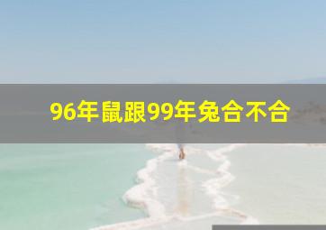 96年鼠跟99年兔合不合