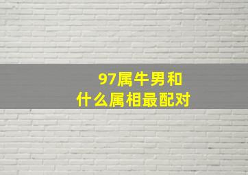 97属牛男和什么属相最配对