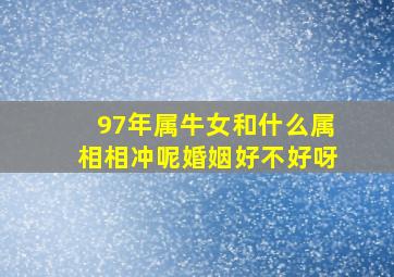 97年属牛女和什么属相相冲呢婚姻好不好呀