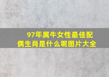 97年属牛女性最佳配偶生肖是什么呢图片大全