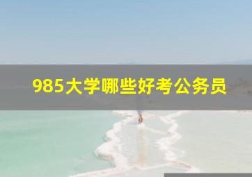 985大学哪些好考公务员