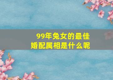 99年兔女的最佳婚配属相是什么呢