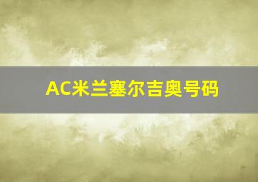 AC米兰塞尔吉奥号码