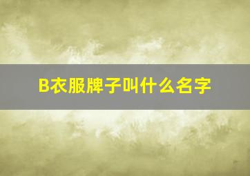 B衣服牌子叫什么名字