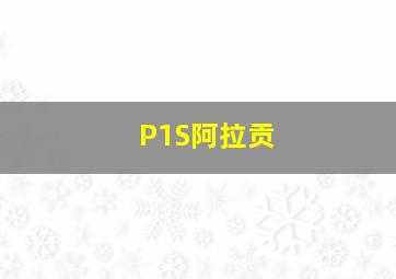 P1S阿拉贡