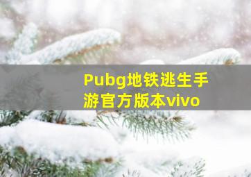 Pubg地铁逃生手游官方版本vivo