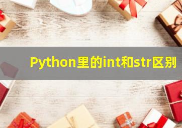 Python里的int和str区别