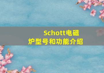 Schott电磁炉型号和功能介绍