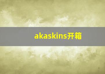 akaskins开箱