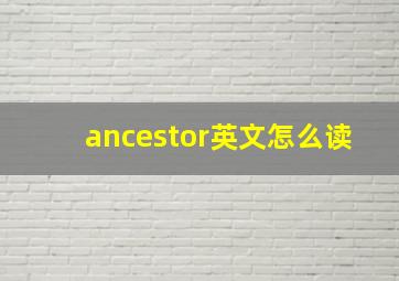 ancestor英文怎么读