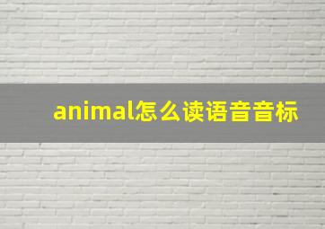 animal怎么读语音音标