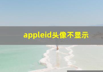 appleid头像不显示