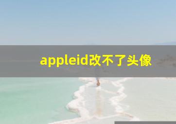 appleid改不了头像