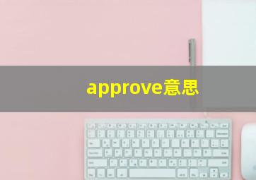 approve意思