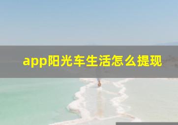 app阳光车生活怎么提现