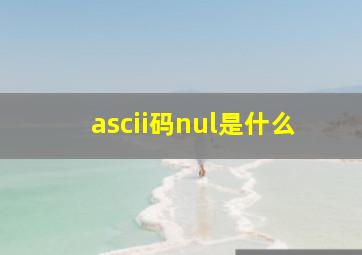 ascii码nul是什么