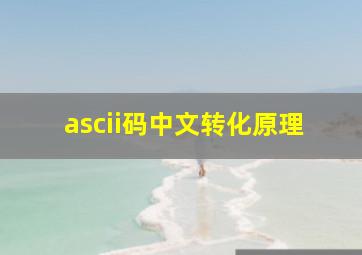 ascii码中文转化原理