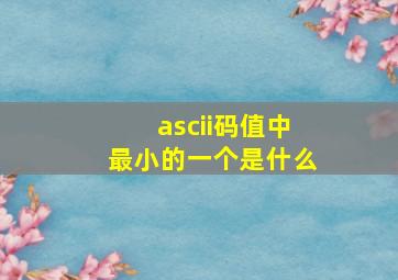 ascii码值中最小的一个是什么