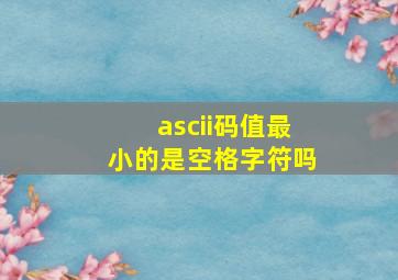 ascii码值最小的是空格字符吗