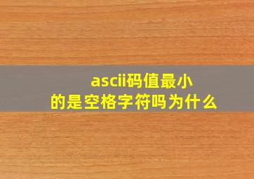 ascii码值最小的是空格字符吗为什么