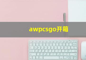 awpcsgo开箱