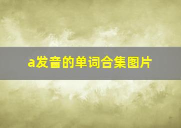 a发音的单词合集图片