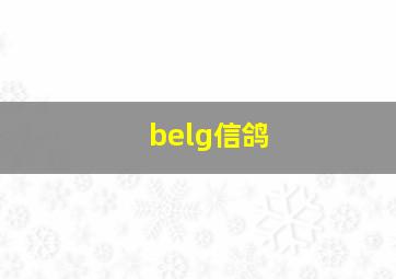 belg信鸽