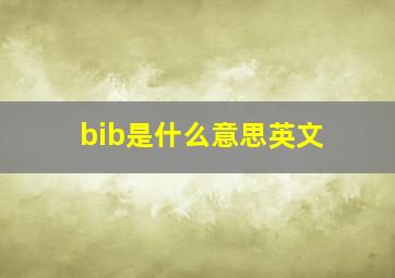 bib是什么意思英文